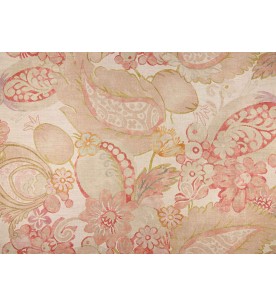 Puerto-Princesa Flamingo