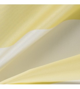 Academy Advance 13-Pear