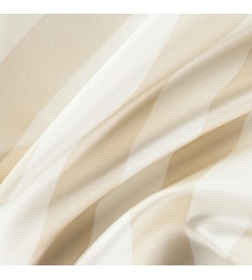 Academy Ahead 01-Angora