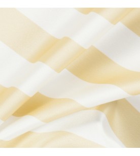 Academy Ahead 06-Straw