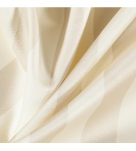 Academy Ahead 07-Ivory