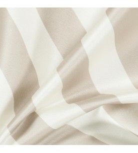 Academy Ahead 09-Chinchilla