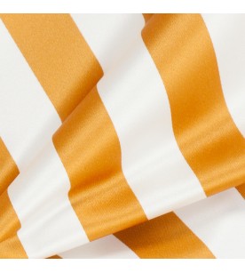 Academy Ahead 25-Pumpkin