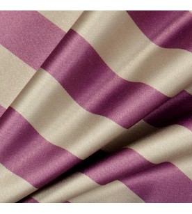 Academy Ahead 31-Plum