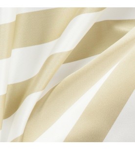 Academy Ahead 34-Moss