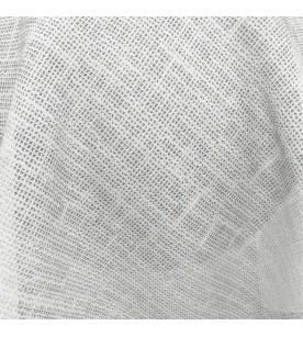 Belga Elisabeth 01-Snow