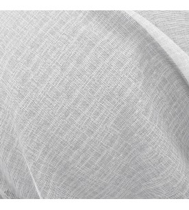 Belga Fabiola 01-Swan