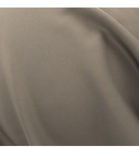 Blockbuster 20-Gargoyle*