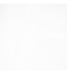 Buena Vista Bonita 03-Snow