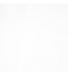 Buena Vista Conga 01-Snow