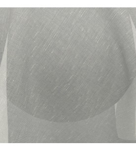 Buena Vista Conga 04-Sesame