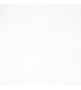 Buena Vista Conga 07-Sterling