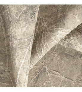 Cannes Castre 27-Feather