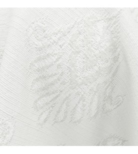 Costa Almeria 01-Angora