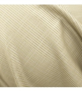 Davinci Leonardo 05-Plaza