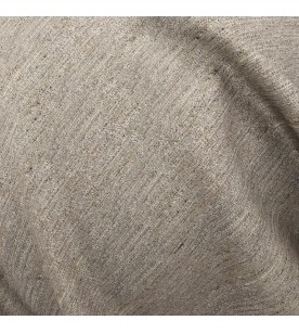 Delegate Agent 09-Fossil