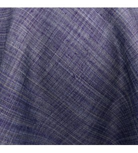 Delegate Envoy 05-Twilight