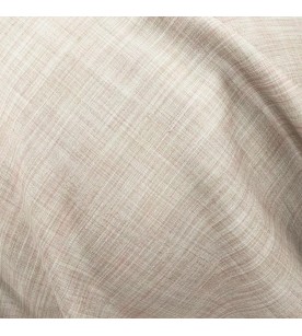 Delegate Envoy 08-Dune