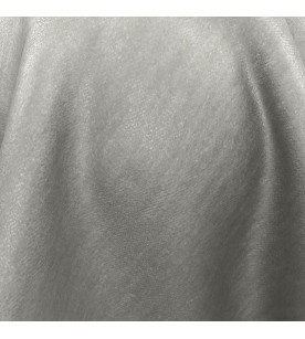 Determination 08-Cloud