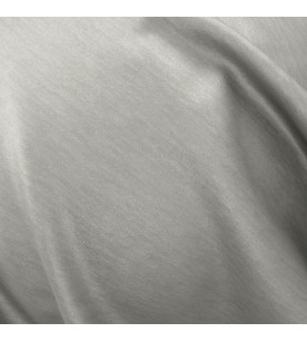 Determination 09-Shark