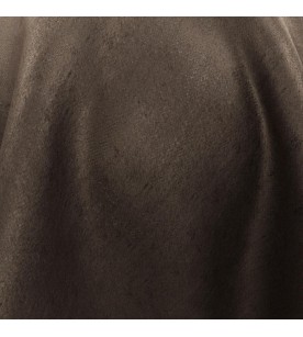 Determination 13-Chestnut