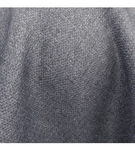 Divinity Jupiter 02-Shark