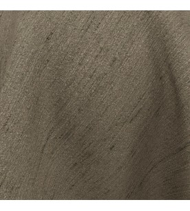 Divinity Sabre 01-Fossil