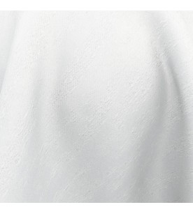 Eclipse Aphelion 05-Ice