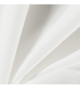 Headline Rubric 05-Swan