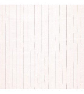 Illusion Assumption 01-Hazel