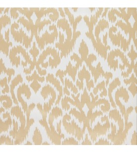 Illusion Holograph...