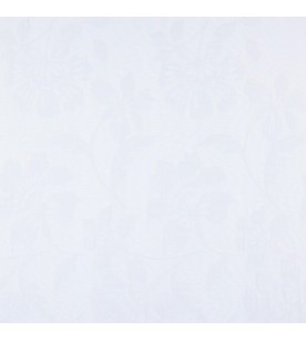 Illusion Vanish 04-Gull