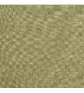 Illusion Visual 07-Olive