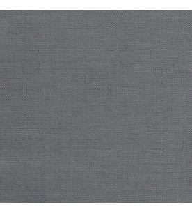 Illusion Visual 10-Mouse