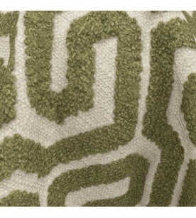 Jamboree Comdeca 19-Cactus