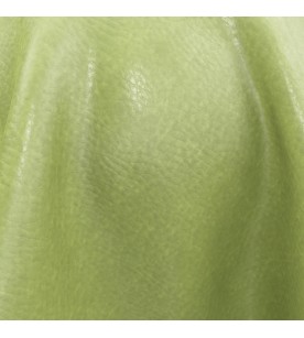 Leather Craft Ability...