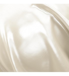 Leather Craft Lacquer...