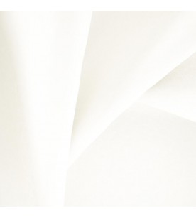 Leather Craft Textura...