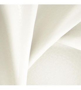 Leather Craft Textura...