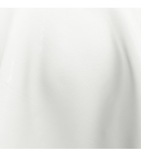 Leather Craft Virtuoso...