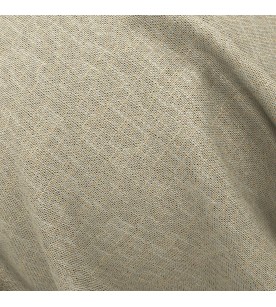 Lucence Lucidity 02-Lichen