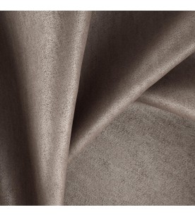 Determination 25-Fossil