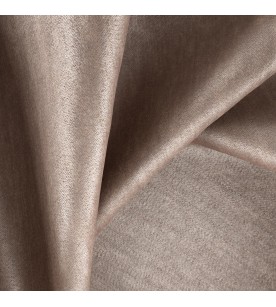 Determination 26-Chinchilla