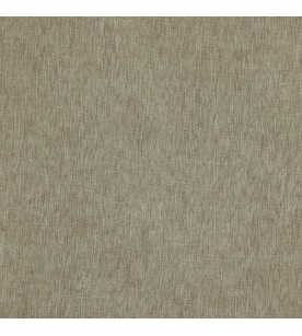 Homeland Hut 12-Pavement