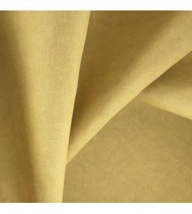 Magician 24-Antelope