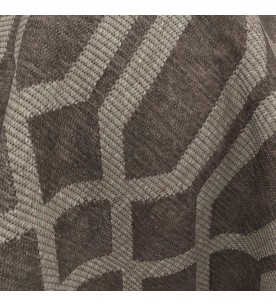 Orlando Sarasota 09-Shadow