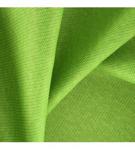 Out Climbing 13-Parrot