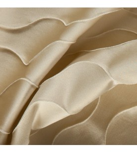 Ovation Distinction...