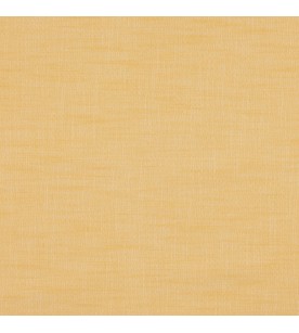 Perception Acuity 23-Sun