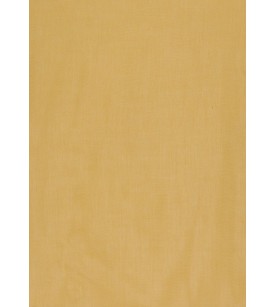 Sprint 24-Sunflower*